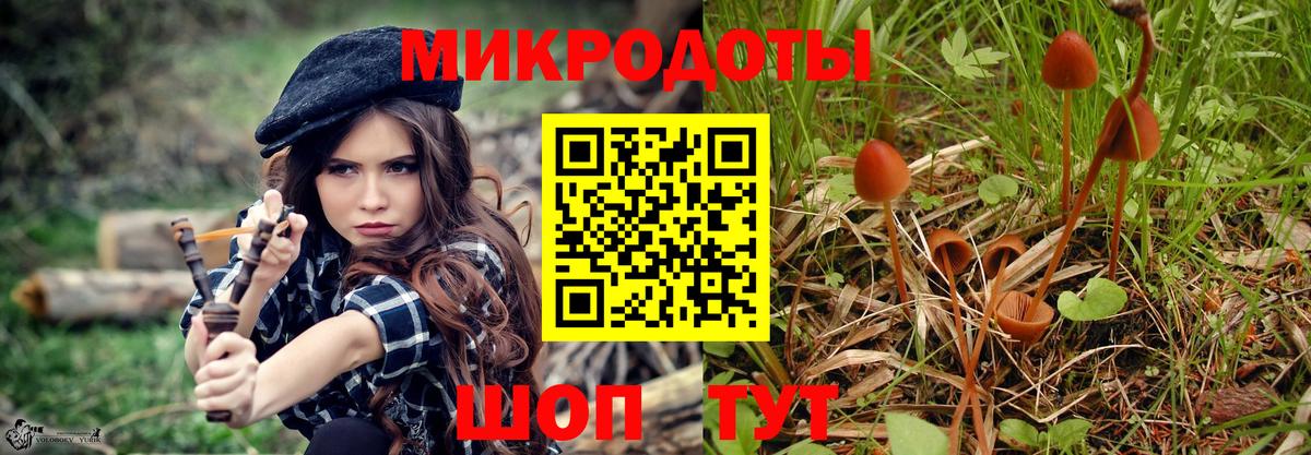 Псилоцибиновые грибы Psilocybine cubensis Каменск-Шахтинский