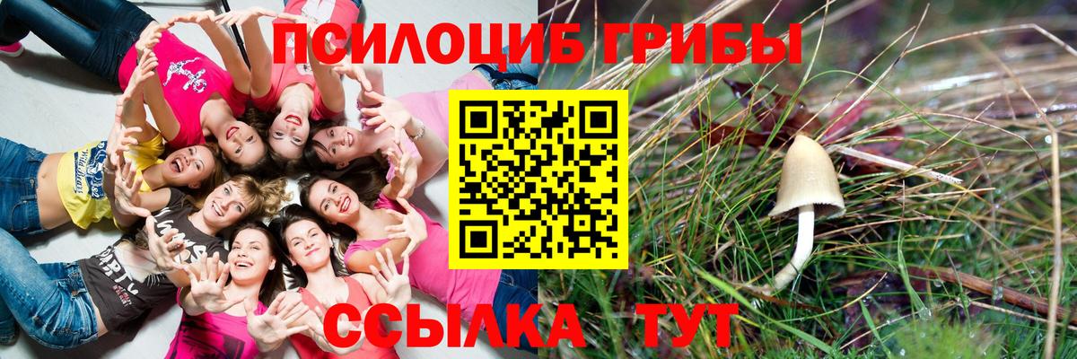 Псилоцибиновые грибы мухоморы  Галлюциногенные грибы мицелий  Каменск-Шахтинский  Вход с VPN 